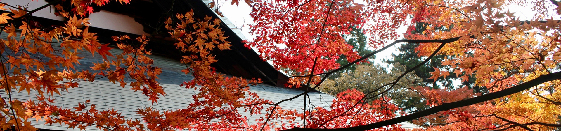 神峯山寺