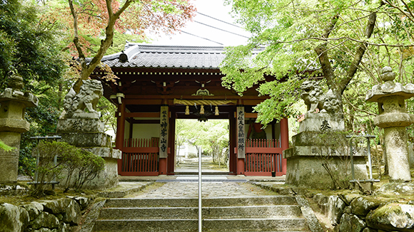 春の画像1