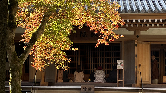 秋の画像1