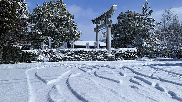 冬の画像1