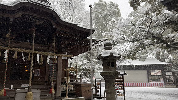冬の画像1
