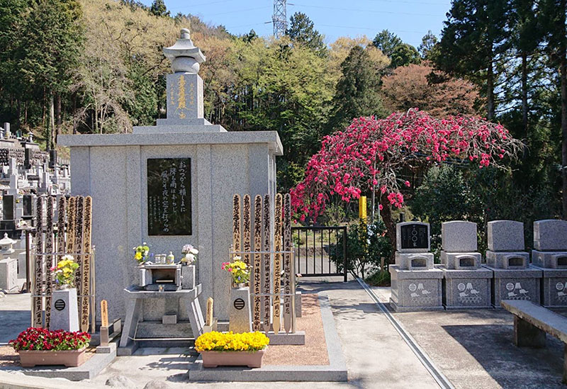 弘法山 三澤寺