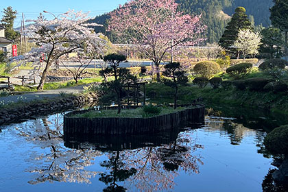 春の画像2