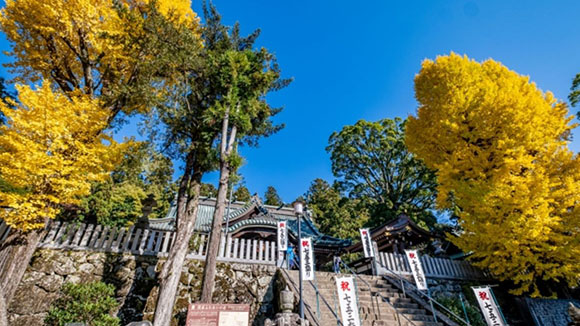秋の画像1