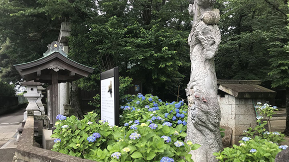 夏の画像1
