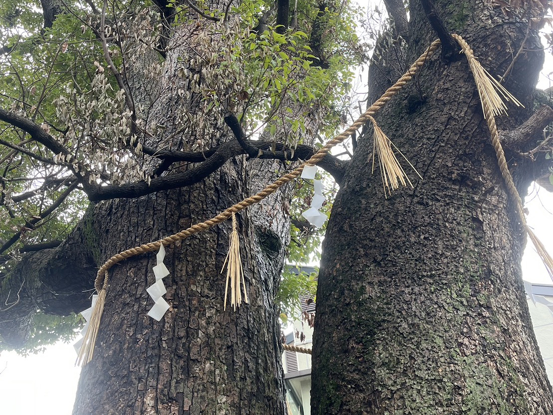 阿保神社