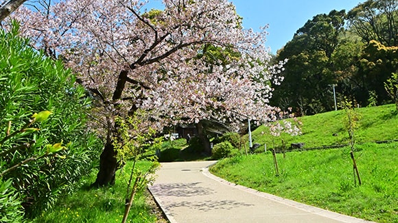 春の画像1