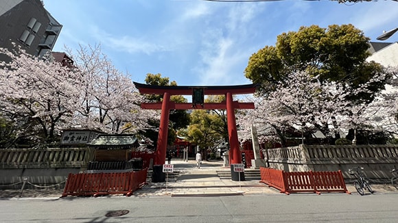 春の画像1