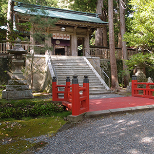 佐渡國一ノ宮 度津神社