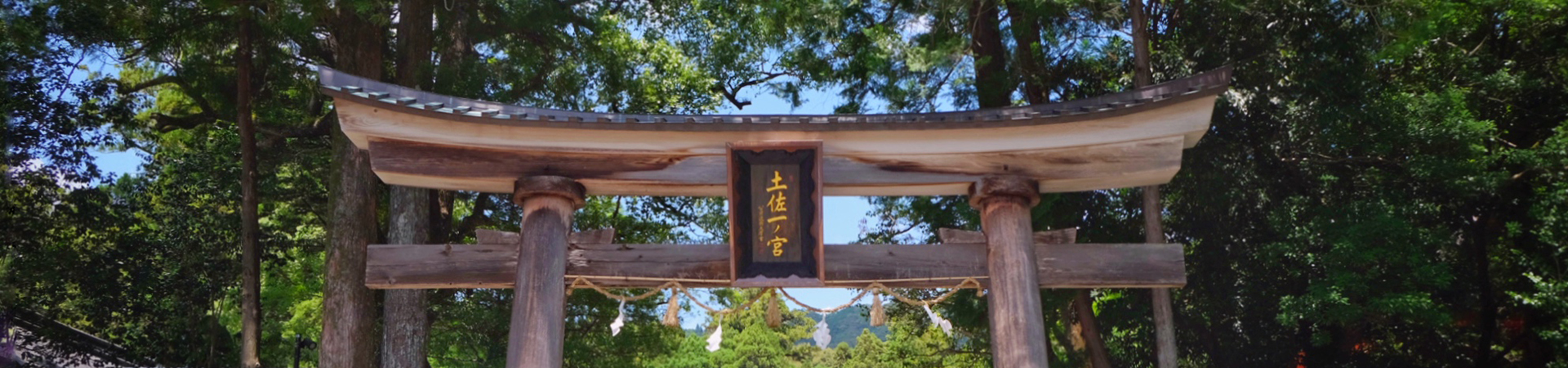 土佐一ノ宮 土佐神社
