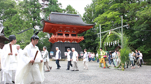 夏の画像1
