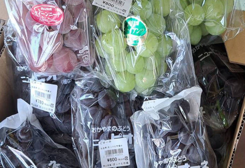 ぼっけぇ市場 生産者直売所