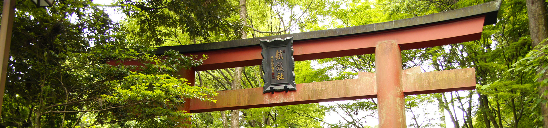 金刀比羅神社