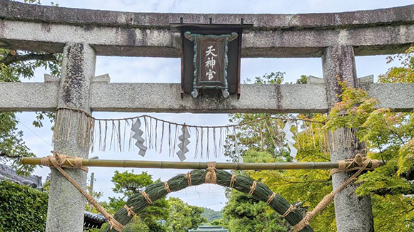 夏の画像1