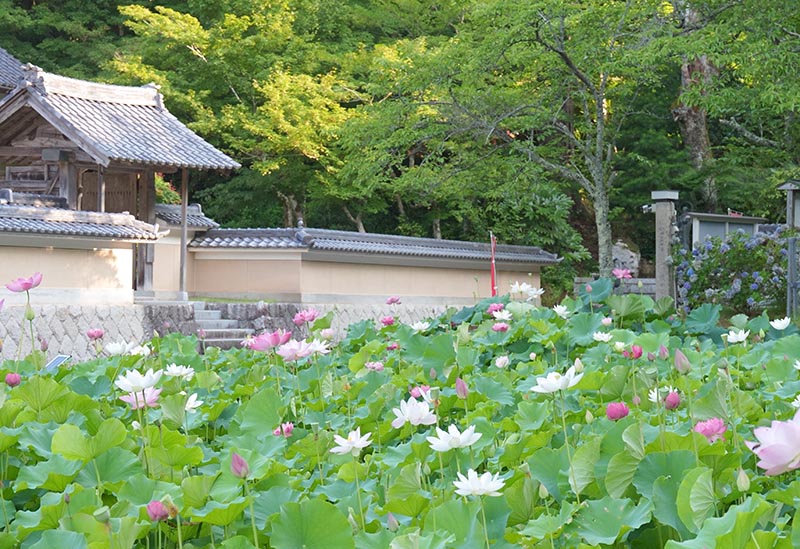 縁城寺