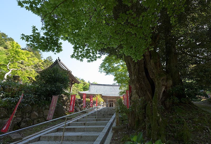縁城寺
