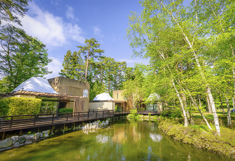 フォレストヴィレッジ