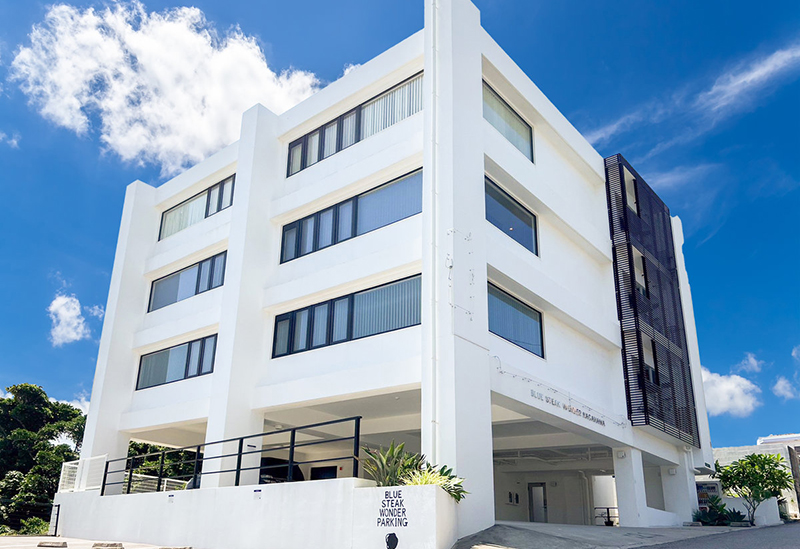 BLUE STEAK WONDER NAGAHAMA