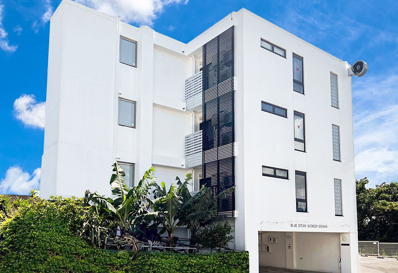 BLUE STEAK WONDER SENAHA